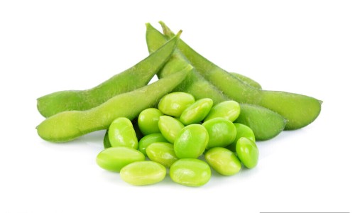 玫瑰蔓越莓茶的功效是什么-玫瑰蔓越莓图片-玫瑰蔓越莓茶的功效是什么,中国玫瑰蔓越莓茶的功效网站